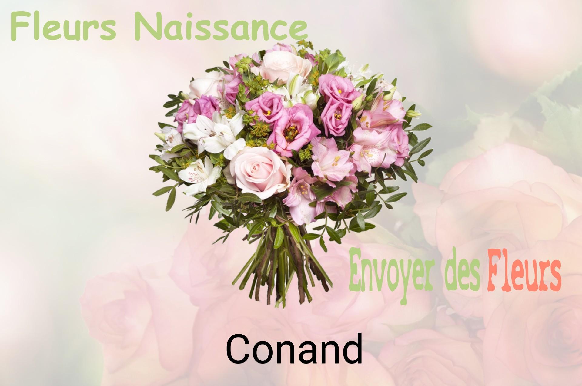 Bouquet de fleurs de naissance livré à Conand